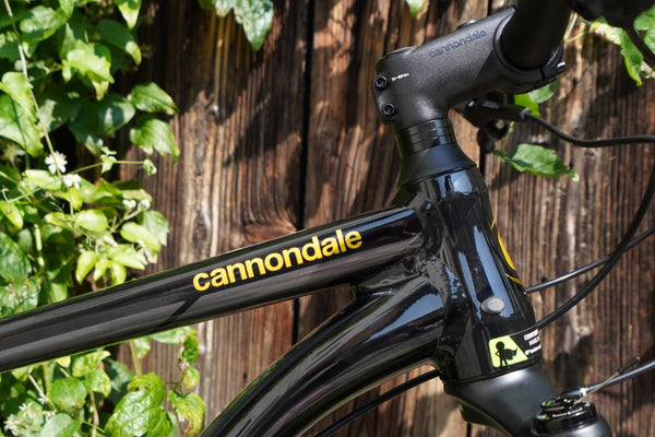 2020 cannondale trail 1