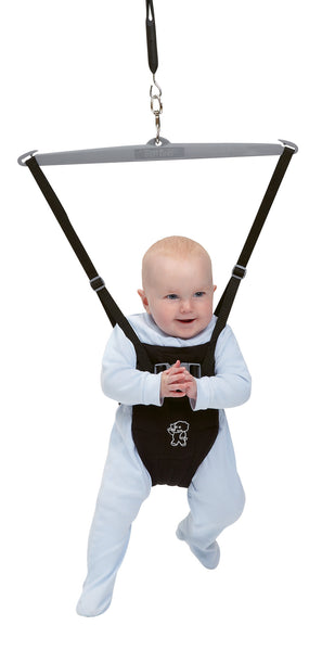 over the door baby bouncer