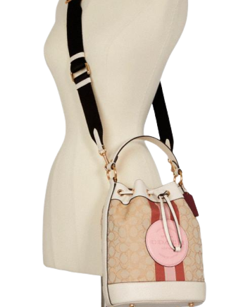 coach classic bucket bag