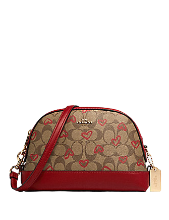 coach signature dome crossbody