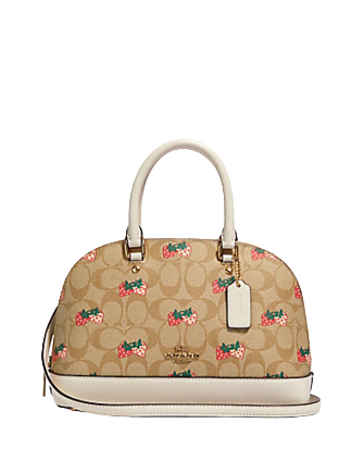 coach strawberry bag