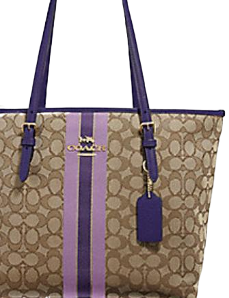 coach jacquard bag