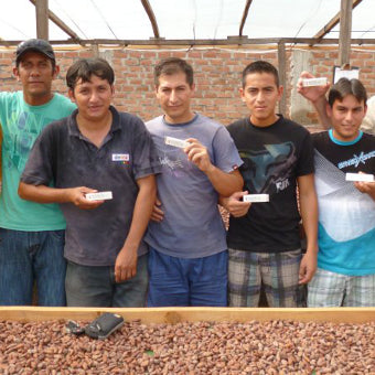 cacao workers in Cajamarca, Peru