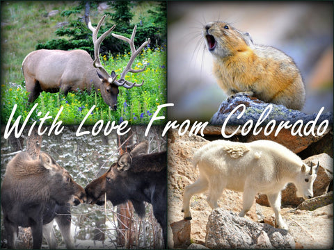 With Love From Colorado Greetings Card