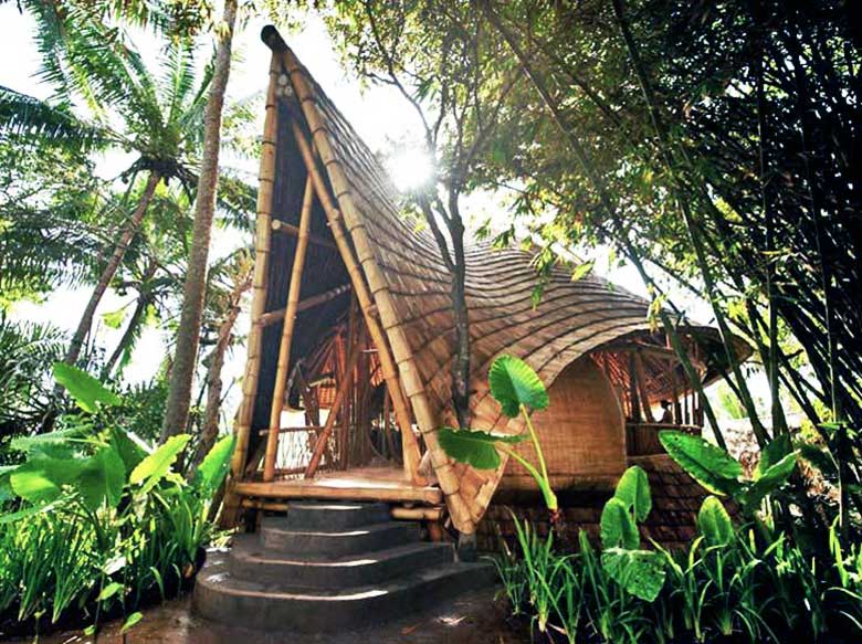 The most renewable materials: Bamboo