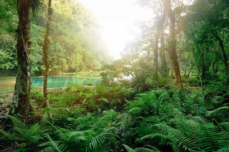 Semuc Champey, Guatemala