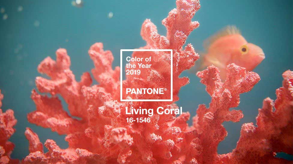 Pantone Color of 2019, Living Coral