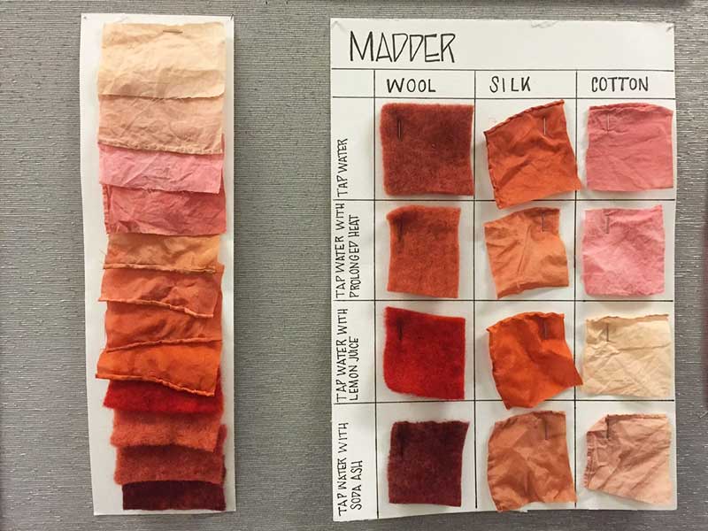 Natural Dye: Madder