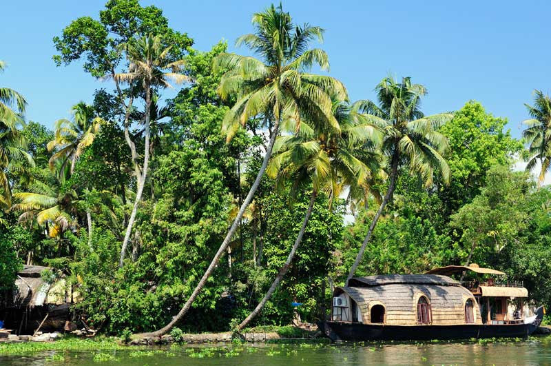 Kerala Backwater