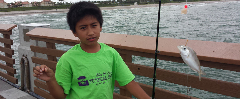 boy catches pilchard fishing with shark zen