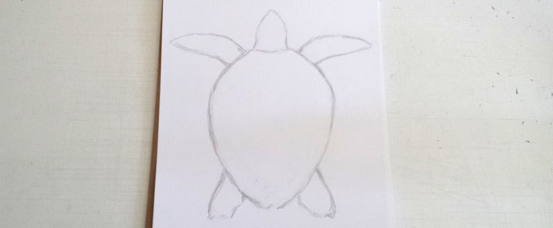 loggerhead sea turtle sketch - draft 1