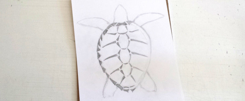 loggerhead sea turtle drawing - draft 2