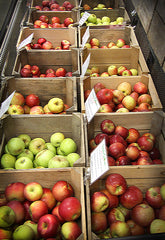 locally grown West Virginia apples at our farm market