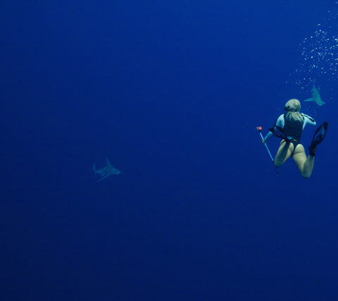 JOLYN'S Robin Lang snorkeling