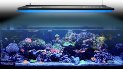 Kessil AP700 LED Aquarium Light