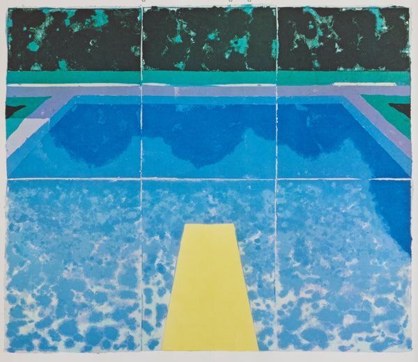 David Hockney Piscine