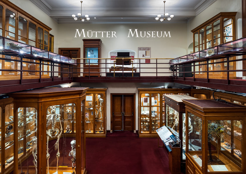 Mütter Museum Current Interior Postcard Mutter Museum Store