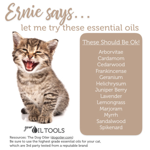 safe oils for cats