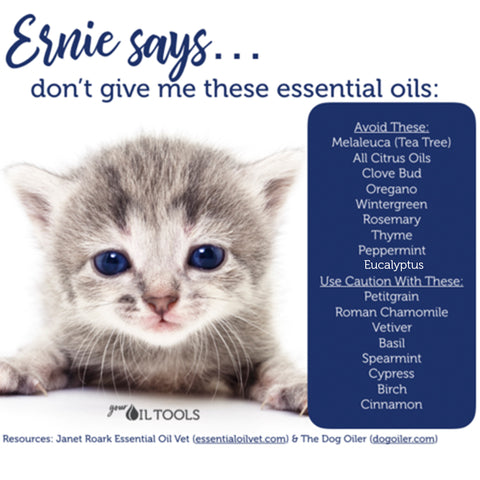 unsafe oils for cats