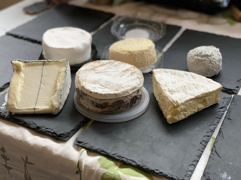Surface Ripened Cheeses