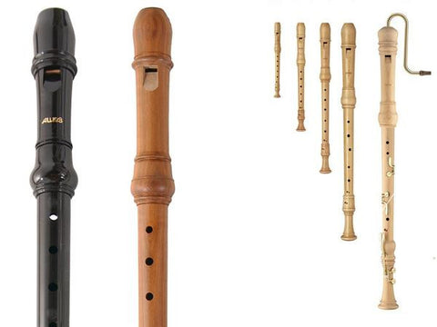 Recorders & Accessories