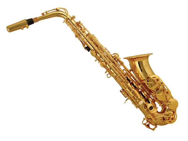 Elkhart 100AS Alto Saxophone Outfit in Gold Lacquer..