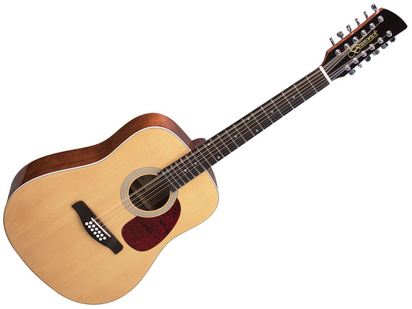 Brunswick Dreadnought 12 String