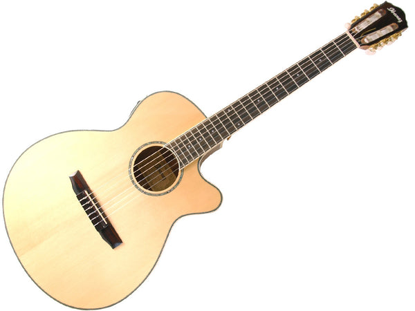 Ibanez AEG10NII Electro Classical Guitar