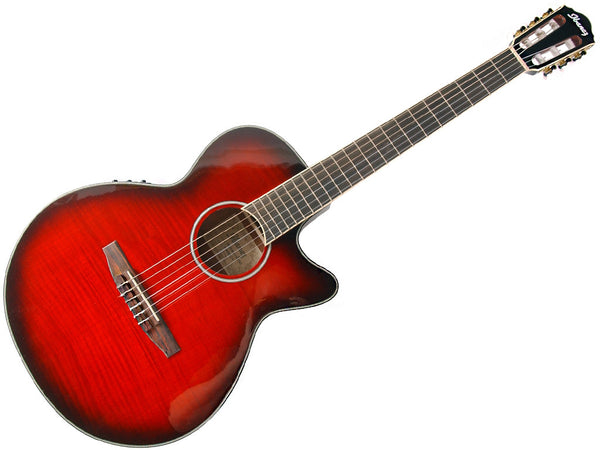 Ibanez AEG 24Nii-THS Electro Classical