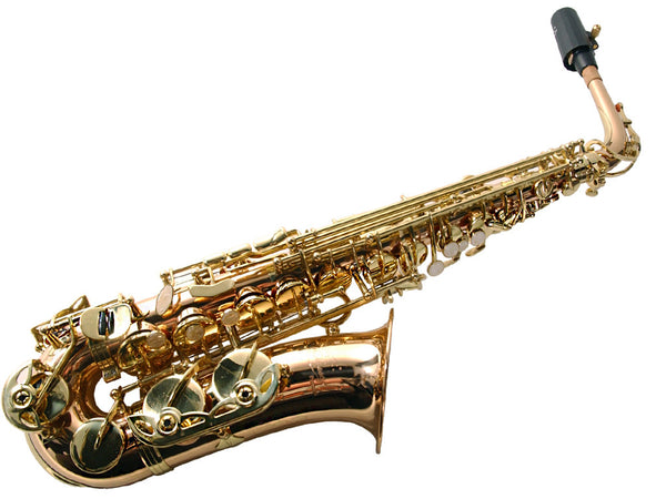 Odyssey Premier Alto Saxophone Outfit OAS700