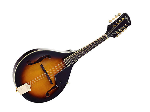 Ozark 2073 'A' Model Mandolin