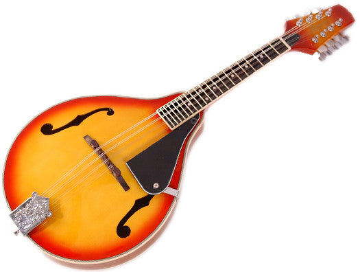 Richwood mandolin RMD-35-CS