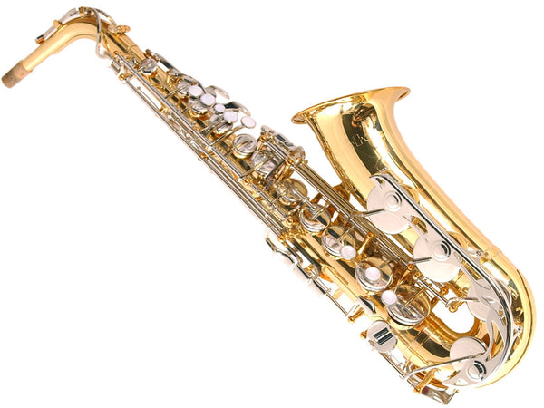 Vito - Alto Saxophone Outfit - Holton