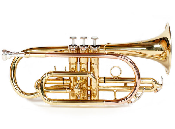 Elkhart Cornet 100cr (with FREE Stoelzel straight mute.)..