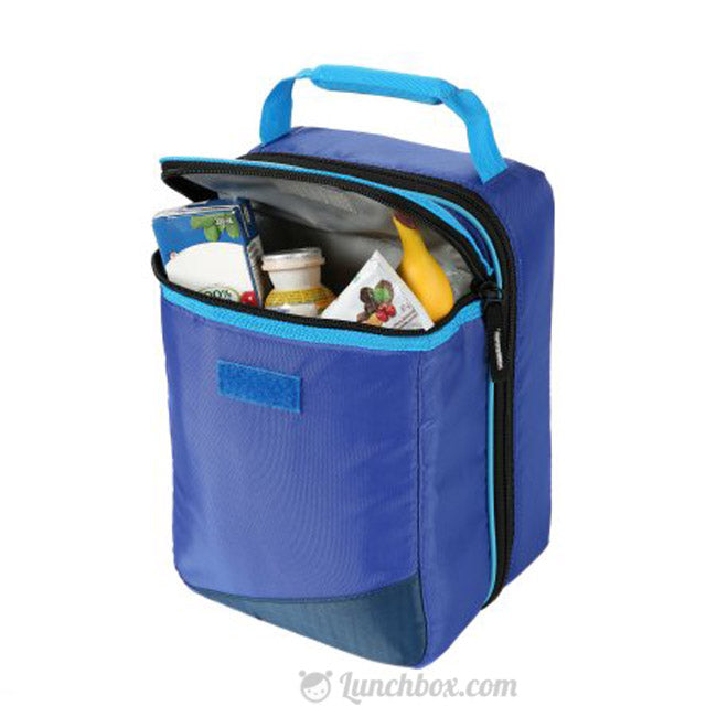 lunch box with removable hard liner