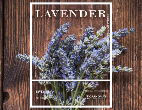 GRANDMA’S HERBAL ENCYCLOPEDIA – Lavender-Mint