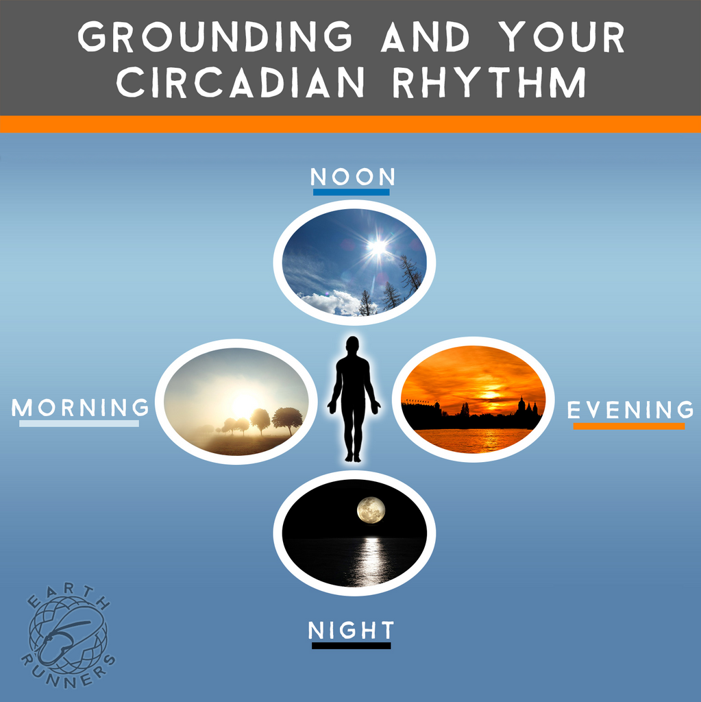 earthing syncs circadian rhythm