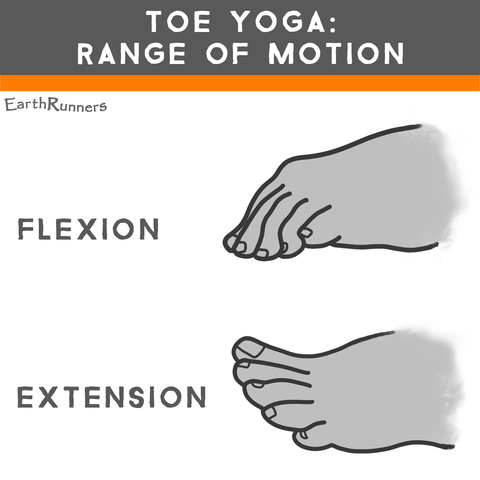 foot flexion toe extension