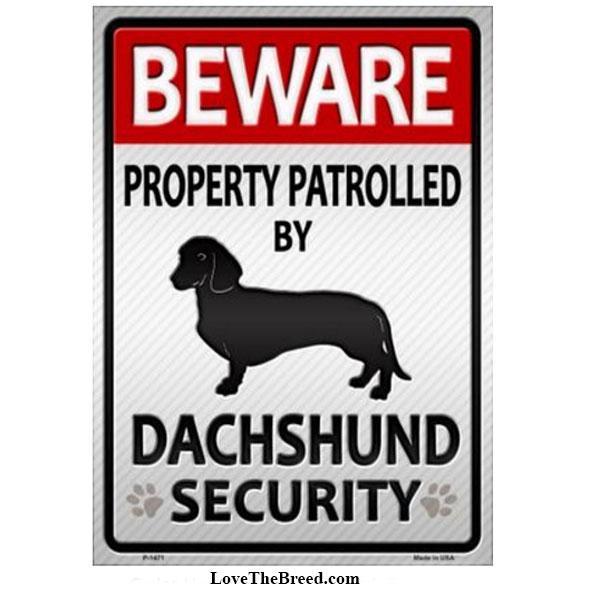 beware of dachshund sign