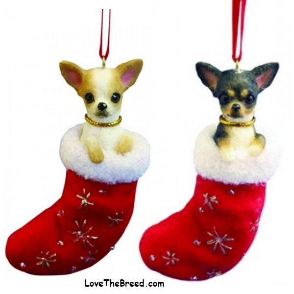 Chihuahua Holiday Ornament in Stocking 