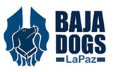 Baja Dogs La Paz: