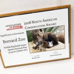 AZA award plaque