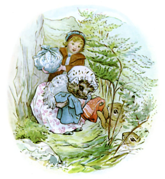 Beatrix Potter Mrs Tiggywinkle illustration