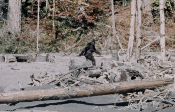 Bigfoot photo