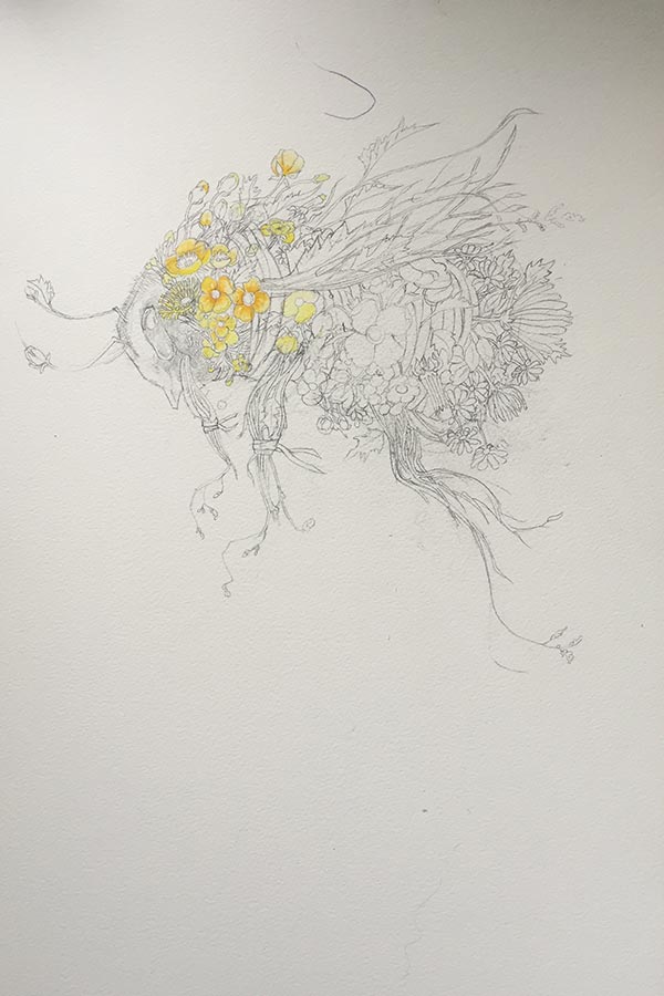 Bumble bee drawing/painting in progress Daniel Mackie