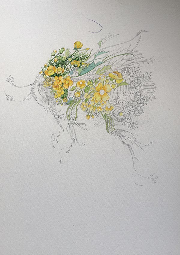 Bumble Bee Drawing/ Painting in progress Daniel Mackie watercolour