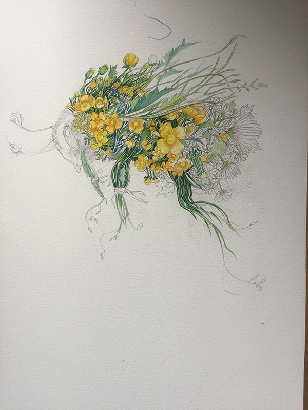 Bumble bee drawing /watercolour painting in progress- Daniel Mackie