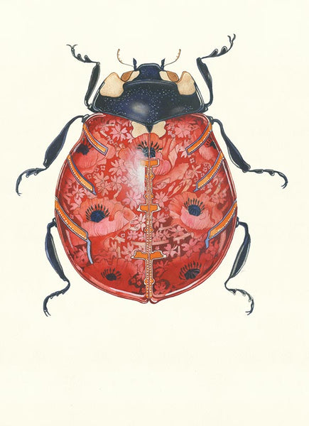 Ladybird watercolour By Daniel Mackie