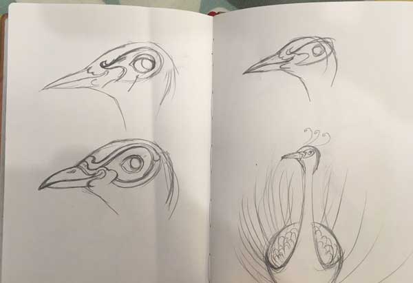Peacock sketch -The DM Collection-Daniel Mackie