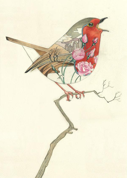 Robin, in a winter landscape- with red breast and pink roses